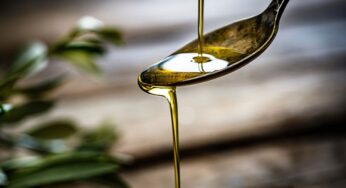 Maxi sequestro olio extra vergine di oliva: gravi conseguenze per chi lo consuma. C’è questo dentro