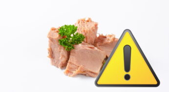 Tonno in tavola a Natale, occhio a quello che acquisti: fermate 20 tonnellate a La Spezia